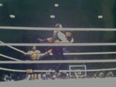 Combates en Juárez - Lucha Mexicana